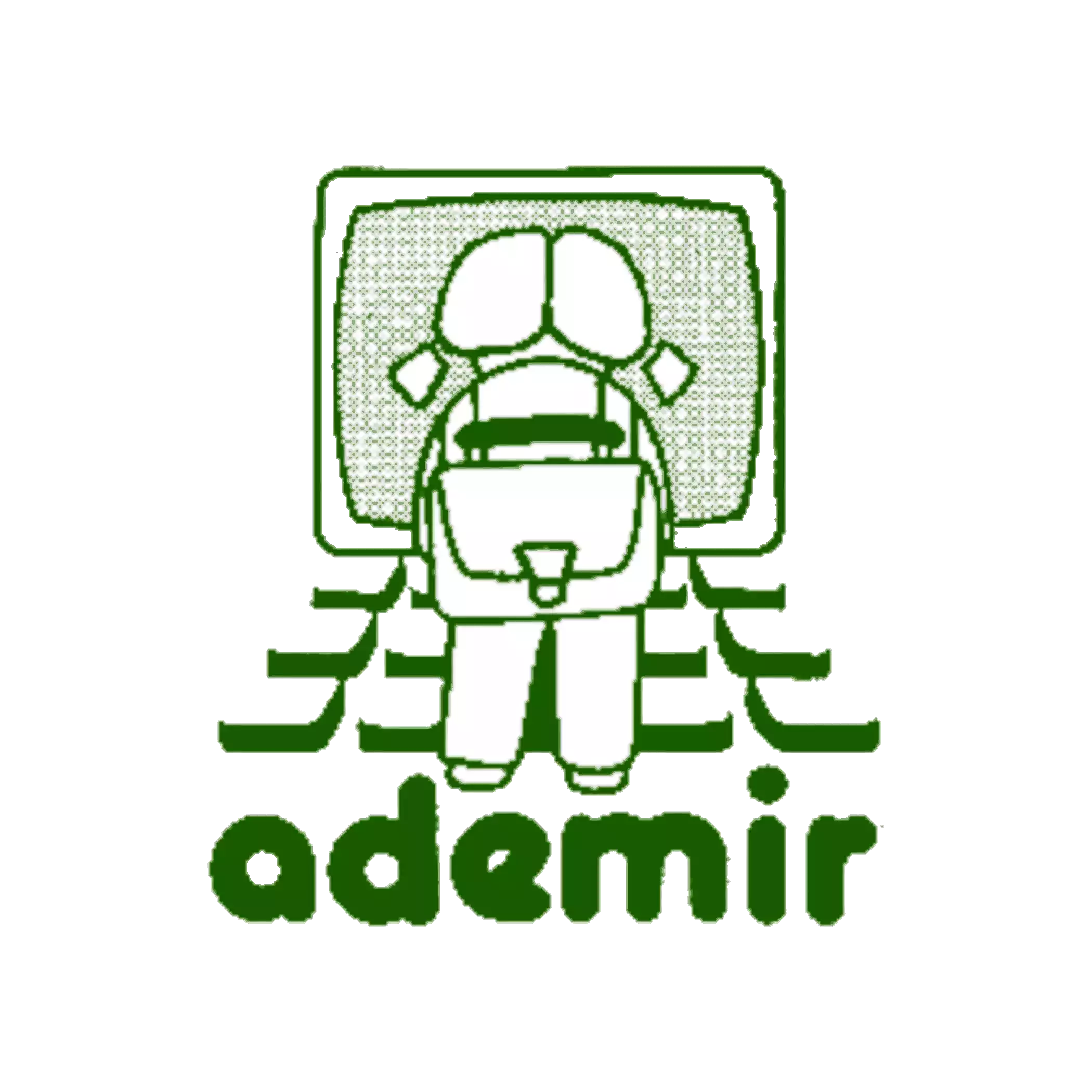 Ademir